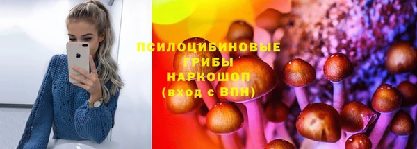 Альфа ПВП Армянск
