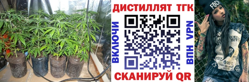 купить  цена  Серафимович  блэк спрут ТОР  Дистиллят ТГК вейп 
